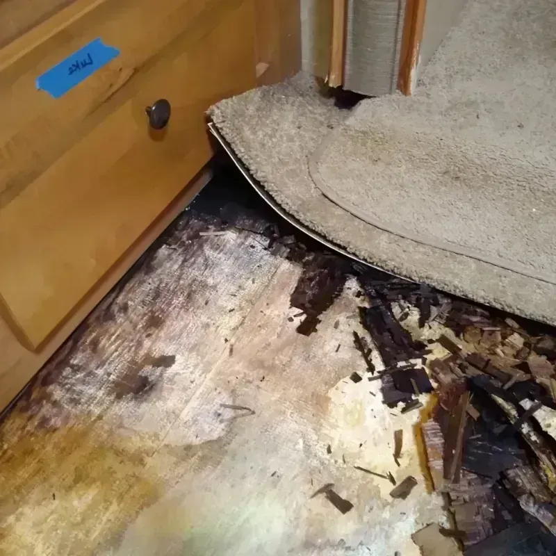 Wood Floor Water Damage in Hudson, WI